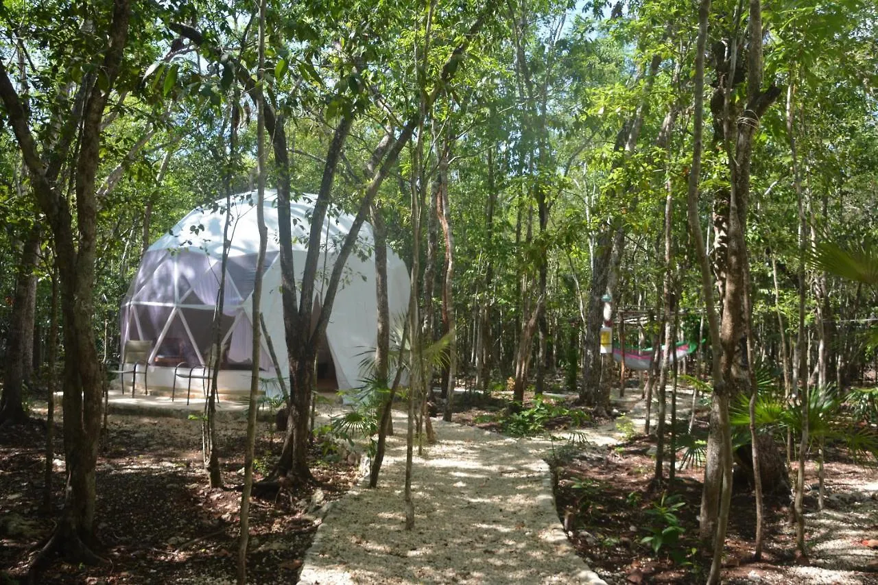 Glamping Mayan Glam Tulum Pueblo Luxe tent